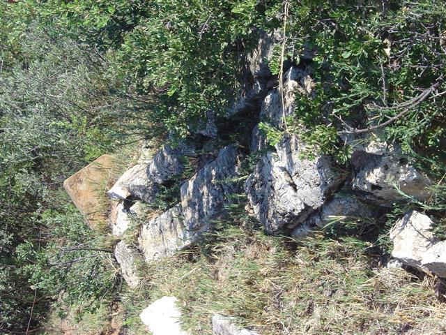 2. Overview