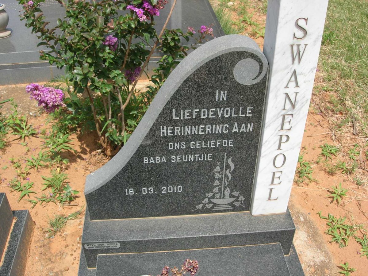 SWANEPOEL -2010