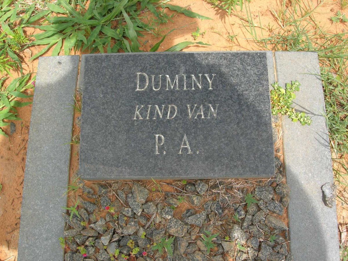 DUMINY