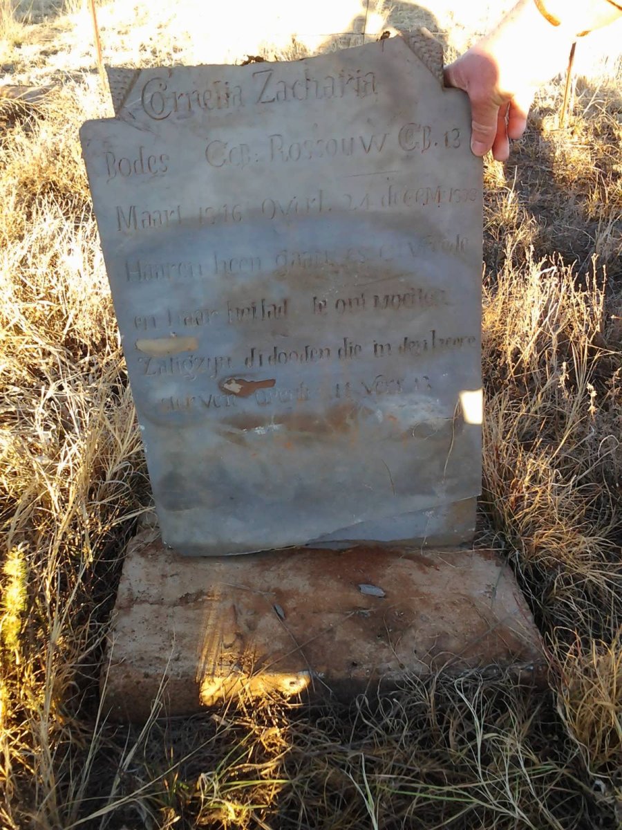 BODES Cornelia Zacharia nee ROSSOUW 1876-