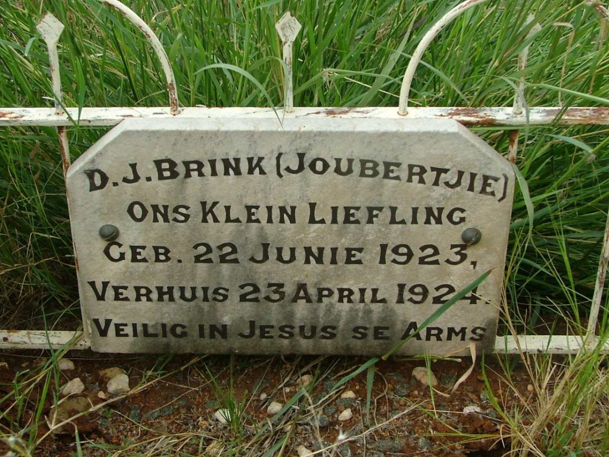 BRINK D.J. 1923-1924