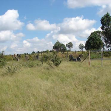 1. Overview