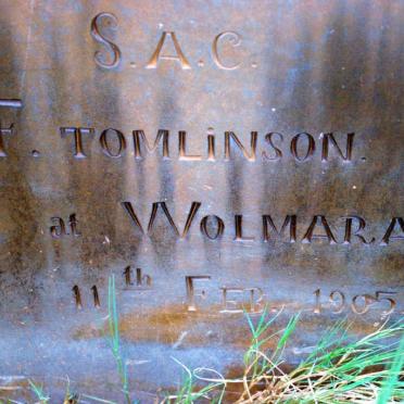 TOMLINSON F. -1905