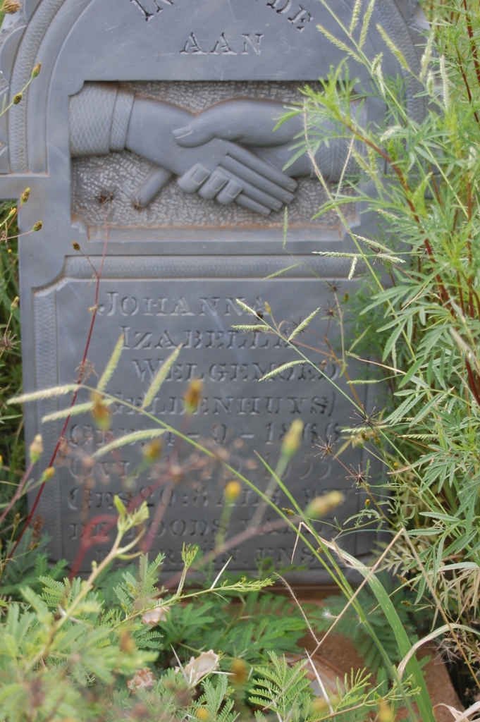 WELGEMOED Johanna Izabella