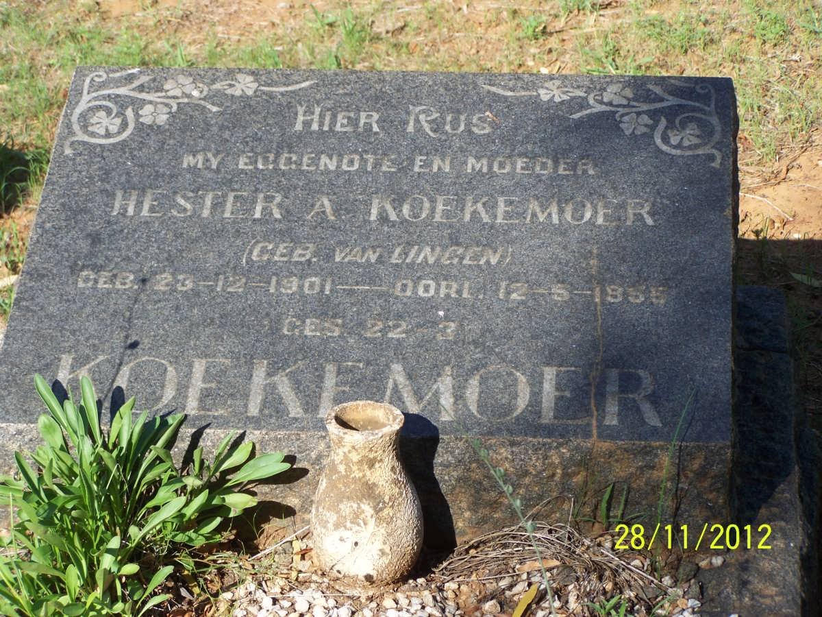 KOEKEMOER Hester A. nee VAN LINGEN 1901-1955.